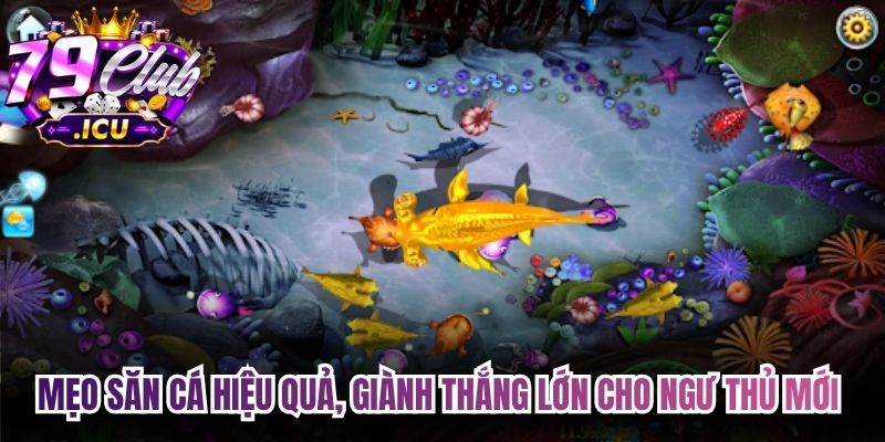 Bắn Cá Đổi Thưởng – Săn Thưởng Hấp Dẫn, Cực Cuốn 3 Mẹo săn cá hiệu quả, giành thắng lớn cho ngư thủ mới tham gia