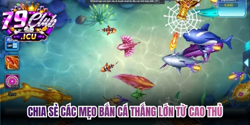 Mẹo Bắn Cá Chuẩn, Giúp Anh Em Game Thủ Thắng Lớn 3 Chia sẻ các mẹo bắn cá thắng lớn từ cao thủ